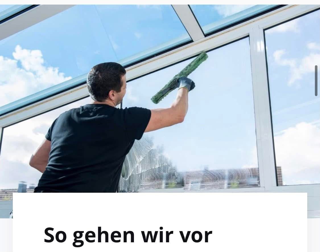 Fensterreinigung