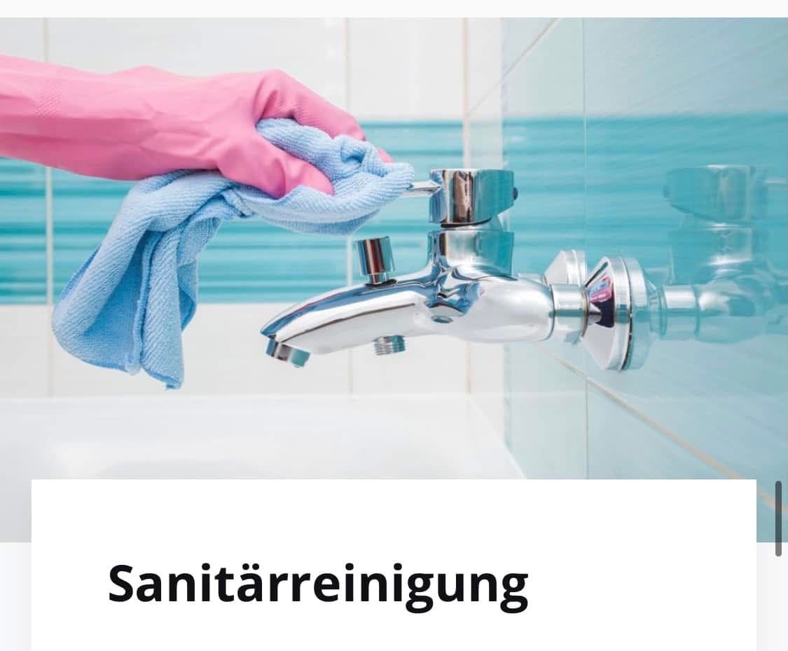 Sanitärreinigung